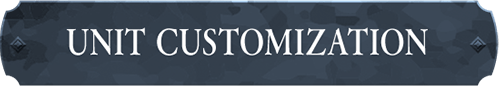 UNIT CUSTOMIZATION